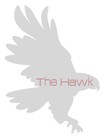 Picture for song 'The Hawk-Dusty Johnston' by artist 'Dusty Johnston'