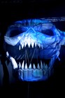 Picture for song 'Do you wan't beef (BEAT)' by artist 'Dutch Instrumentals'