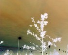 Picture for song 'Jumper Jut' by artist 'D X M digital experimental music'