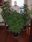 Picture for song 'DNT - Mary Jane (Snippet)' by artist 'Eastside Souljaz'