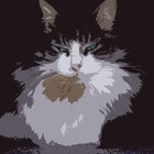 Picture for song 'Ninja, le dernier combat' by artist 'Eddy Lemaire'