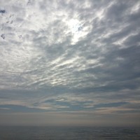 Picture for song 'Righting Wrong (try Try Again)' by artist 'Elle Madelyn'