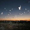 Picture for song 'A Distant Place' by artist 'Emotive Touch'