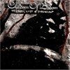 Picture for song 'Children Of Bodom - She Is Beautiful' by artist 'Epi'