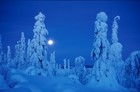 Picture for song 'Julefriden in' by artist 'equality'