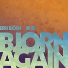 Picture for song 'Ain't Right' by artist 'Erik Bjorn'