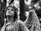 Picture for song 'Transcendence Pt.2 (Forgiveness)' by artist 'E Strad'
