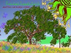 Picture for song 'The Light (Time Cannot Reach Us)' by artist 'Eucalyptus and the Kamikaze Koalas'