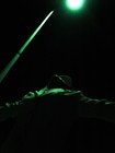 Picture for song 'In the sh***' by artist 'EVP (Australia)'