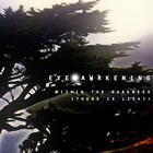 Picture for song 'Within The Darkness (There Is Light)' by artist 'Eye Awakening'