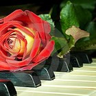 Picture for song 'Beautiful KEYz' by artist 'Fantastick Vylintz'