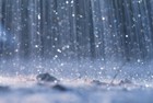 Picture for song 'Rainy Day' by artist 'Finnski'