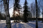 Picture for song 'Words Get Colder' by artist 'Finny Beats'