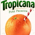 Picture for song '**SOLD** Tropicana *SOLD*' by artist 'FisherOnTheBeat'