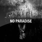 Picture for song 'NO PARADISE' by artist 'FlashBeats.net'
