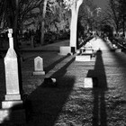 Picture for song 'Long black hurst (free download) | old' by artist 'Flibeats'