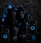 Picture for song '*New* Damage Control *No Tag*' by artist 'Flip Beat International'