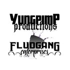 Picture for song 'PiMP - 9-15-12.mp3' by artist 'FludGang Productions'