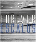 Picture for song 'Throw it Away' by artist 'Forever Escalus'