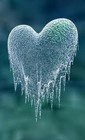 Picture for song 'The Rain(Free Beat)' by artist 'Frank Bang Music'