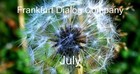 Picture for song 'july' by artist 'Frankfurt Dialog Company'