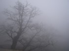 Picture for song 'pandemia' by artist 'Frankfurt Dialog Company'