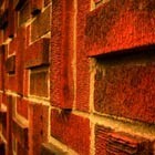 Picture for song 'Bricks (free d/l)' by artist 'FrozenjaZz'