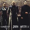 Picture for song 'Dark Matrix (Dirty Gate Mix)' by artist 'FuNMoNsTeR'