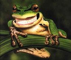 Picture for song 'Happy Frog' by artist 'Fuse Breaker'