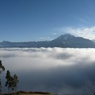 Picture for song 'charmed life' by artist 'gary reynolds (VA)'