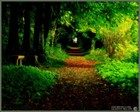 Picture for song '*NEW* Dear Friend Free DL' by artist 'German Rap Beats'