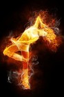 Picture for song 'flame by GOOSE GODDI PRODUCTIONS' by artist 'Goose Goddi Productions'