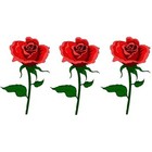Picture for song 'Rosie Revisited' by artist 'Gracious Bears'