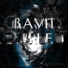 Picture for song 'Immaculate Disintegration' by artist 'Gravity Quiet'