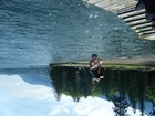 Picture for song 'GROOV' by artist 'GREENWORKZ'