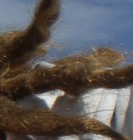 Picture for song '10-40pm One fat dread' by artist 'Grocks' Glemham Hall Sessions'