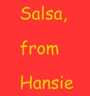 Picture for song 'Salsa' by artist 'Hans van der Werf'