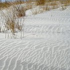 Picture for song 'The Calm' by artist 'Harmony Productions'