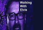 Picture for song 'Walking With Elvis' by artist 'Henrik Jespersen'