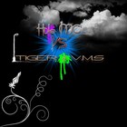 Picture for song 'Hole MC vs. Tiger & V.M.S' by artist 'Hole MC'