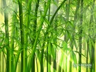 Picture for song 'Nagori (Memories of Japan)' by artist 'Identity Zero'