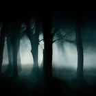 Picture for song 'Dark Woods' by artist 'Igel-one'
