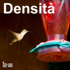 Picture for song 'Densita'' by artist 'Il colore del buio'