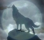 Picture for song 'LONE WOLF' by artist 'INCUPRO STUDIO'