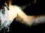 Picture for song 'Suffocating Truth' by artist 'Inoculus'
