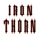 Picture for song 'what I want' by artist 'Iron Thorn'
