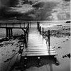 Picture for song 'Final Distance' by artist 'isseymiyake'