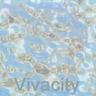 Picture for song 'Vivacity' by artist 'IvoryHeart'
