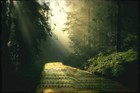Picture for song 'Almost There' by artist 'Jared Guynes'