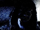 Picture for song 'Go Getta Remix' by artist 'Jcbeat'